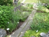 Örtagården med 23 kryddväxter